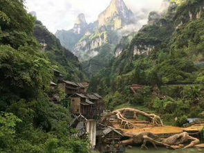 張家界當地口碑導游多少錢一天,可以定制純玩路線嗎