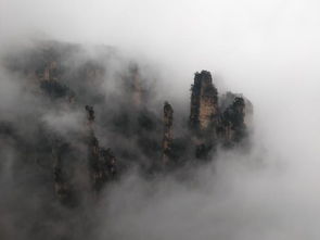 圈子 張家界導(dǎo)游成 火爆 話題,沈陽(yáng)文藝青年風(fēng)火闖張家界, 戀上 張家界 導(dǎo)游