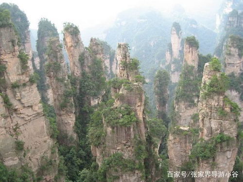 張家界旅游攻略 張家界導(dǎo)游小谷