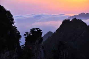 張家界導(dǎo)游有多好 我只告訴你,你來(lái)了才會(huì)知道