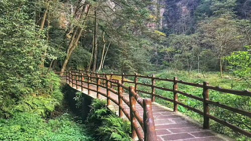 資深張家界導(dǎo)游推薦 自由行最合理 最經(jīng)典的線路