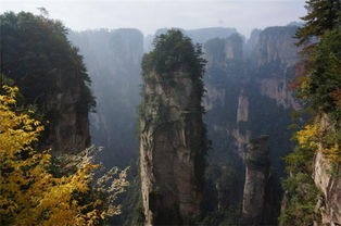 張家界自助自由行導(dǎo)游眼中的 秋意濃
