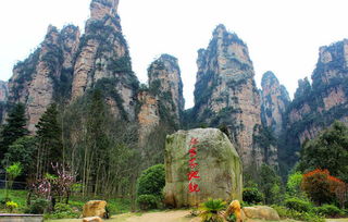 張家界自由行導(dǎo)游推薦 森林公園 天門山經(jīng)典線路