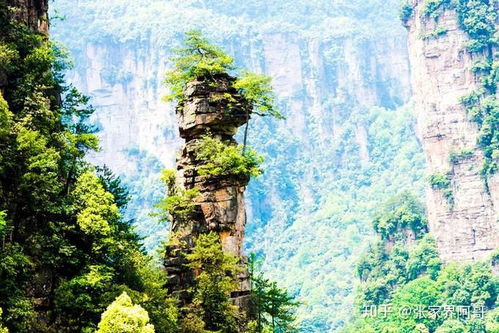 張家界當地導游推薦四日游,不錯過任何一個精華景點