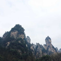 來張家界找個自助游導游帶我們玩