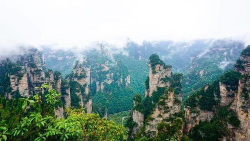 我準備去張家界找導游帶我玩 導游靠不靠譜 求推薦