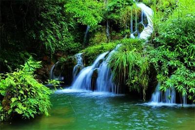 硒有慈利--釋放產業扶貧強勢動能,鄉村振興貢獻“慈利樣本”