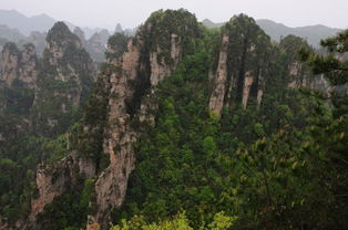 張家界純玩團 品質團 獨立成團 自由行導游推薦