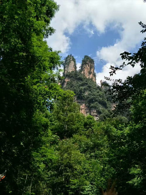 張家界自由行線路,請問美女導游服務費多少錢一天