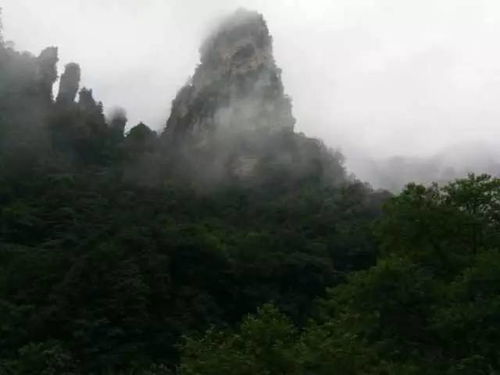 張家界旅游分享