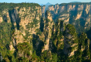 張家界當地美女導游 有問必答 幫你免費定制屬于你的路線