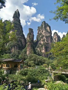 張家界自由行導(dǎo)游哪家好 需要游玩幾天,推薦口碑好導(dǎo)游幫您定制行程