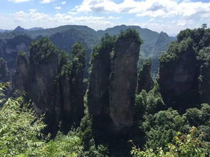 游客評價張家界導(dǎo)游服務(wù)非常滿意,強烈推薦,張家界自由行游記