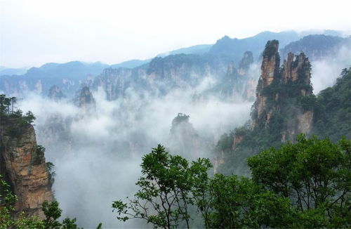 張家界本地導(dǎo)游讓我少花錢,張家界自助游自駕游