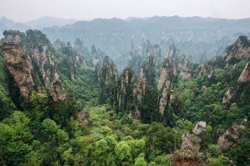 張家界旅游一般玩幾天,張家界自由行導(dǎo)游推薦線路攻略