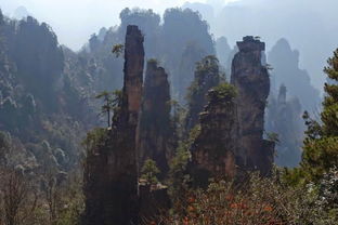 張家界一見難忘,口碑好導(dǎo)游電話列表