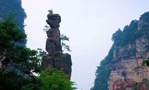 去張家界要不要請導(dǎo)游 看這篇文章你就知道了 旅游