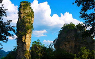 張家界自助游導游爆料 張家界明天有三喜