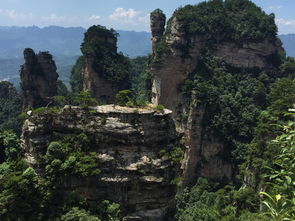 武漢到張家界三日游線路推薦,長沙去張家界請口碑好導游