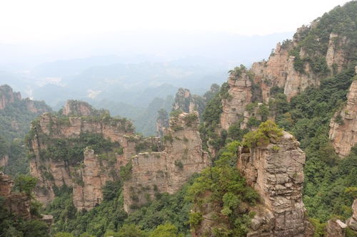 張家界當地導游靠譜嗎 看網友眼里的張家界口碑好本地導游