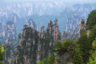 張家界景區的 本地導游 ,套路多,不講解,引導你報低價團