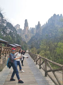 張家界優秀導游電話,邂逅不期而遇的美好