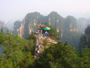 想到張家界沒有約束的玩幾天,有沒有當地向導 導游介紹一個