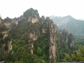 張家界旅游預防各種陷阱 資深導游真誠提醒