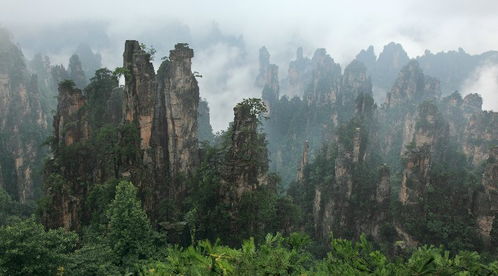 張家界玩個四五天怎么玩 張家界導游推薦線路
