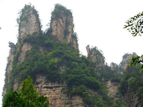 去張家界游玩需要幾天,張家界自由行導游告訴您游玩路線