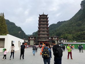 張家界旅游可以自己玩嗎 有必要找導游