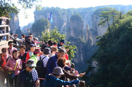 張家界百名韓語導游捐贈價值5.2萬元口罩抗擊疫情