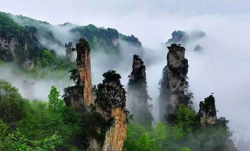 自助游 自駕游 張家界,鳳凰 游玩導游游記攻略