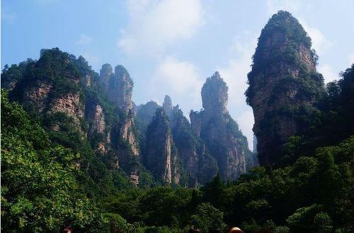 上海到張家界怎么最方便,請口碑好的導游一路有你便好