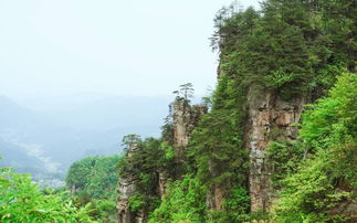 張家界當地導游羅阿妹 帶您游張家界經典6日游