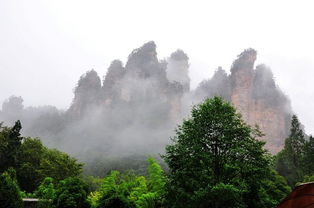 廣西桂林 兩江機場 荷花機場 張家界口碑好的導游推薦