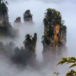 到張家界旅游,單請導游多少錢一天