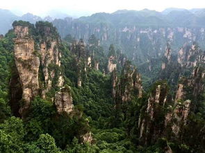 張家界最好導游管家式服務 更貼心 口碑好