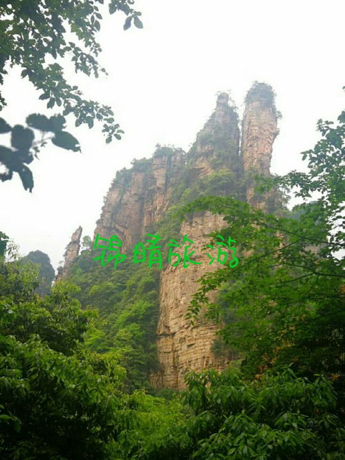 去張家界旅游,有行李怎么辦呢 車停哪兒方便