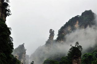 行走無強 游無界 張家界.鳳凰8日旅