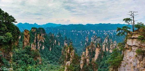 張家界自由行攻略張家界自由行攻略張家界自由行攻略