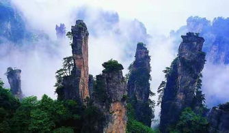 國慶節去張家界旅游的10大注意事項 張家界本地導游溫馨提示