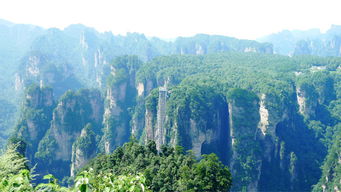 春節張家界旅游 張家界自由行導游 張家界導游 口碑好 責任心推薦