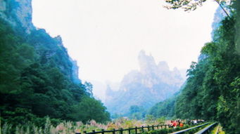 張家界森林公園 袁家界 楊家界 金鞭溪 天子山 云度玻璃橋 天門山森林公園3天2晚自由行 單獨導游專職服務 純玩0購物