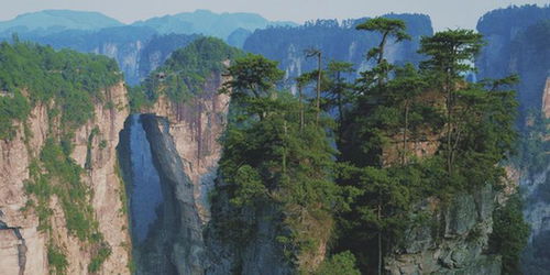 張家界導游親述 游客比較淡定,旅游業者旺季 自我隔離