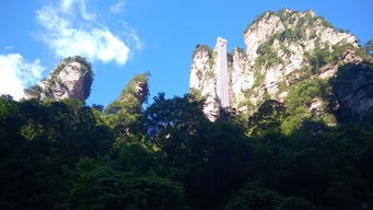 深圳到張家界有多遠 怎樣安排從深圳出發張家界導游景點呢