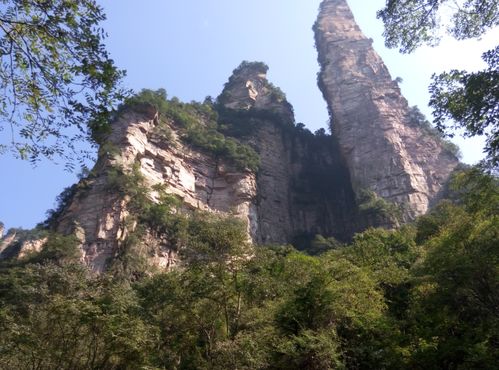 hello,各位親愛的小伙伴,推薦張家界優秀導游