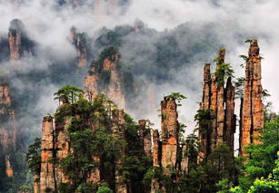 去張家界旅游選擇陳峰自助游俱樂部的好處