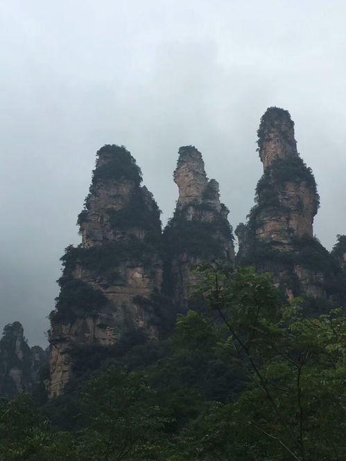 張家界導游給游客推薦純玩攻略,享受快樂旅行