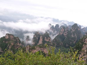 網上那些自助導游是真的嗎,張家界導游微信靠譜嗎